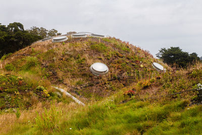 High angle view of plants on land against sky