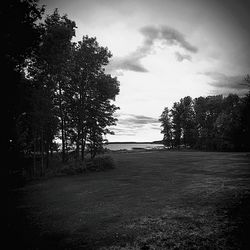 Silhouette trees on field against sky