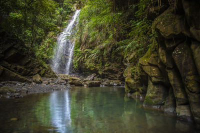 Scenic view of waterfall in forest