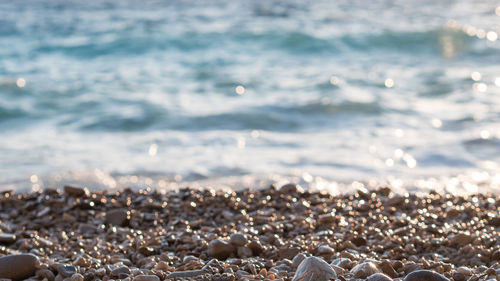 Close-up of pebbles on beach