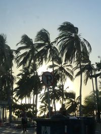 Low angle view of palm trees against sky