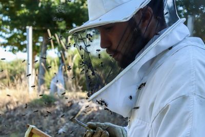 Side view of male beekeeper