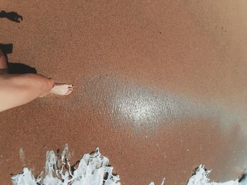 High angle view of person hand on land