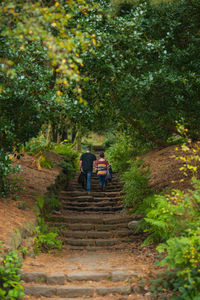 People walking on steps amidst trees