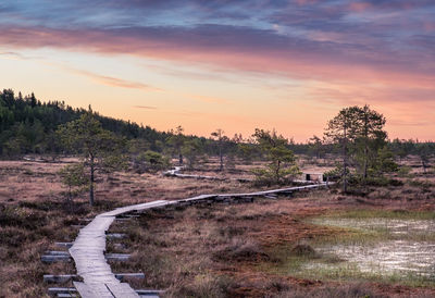 Road by trees against sky during sunset