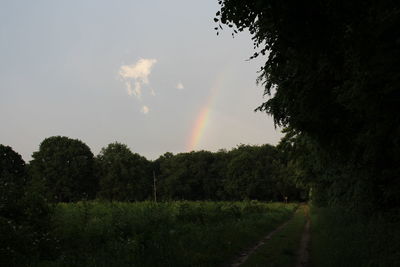 Scenic view of rainbow over trees against sky