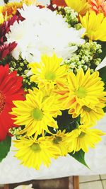 Close-up of yellow flower