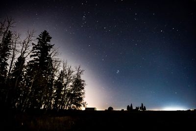 Low angle view of silhouette trees against sky at night