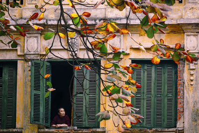 Low angle view of tree against building