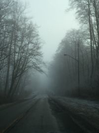 Road passing through forest