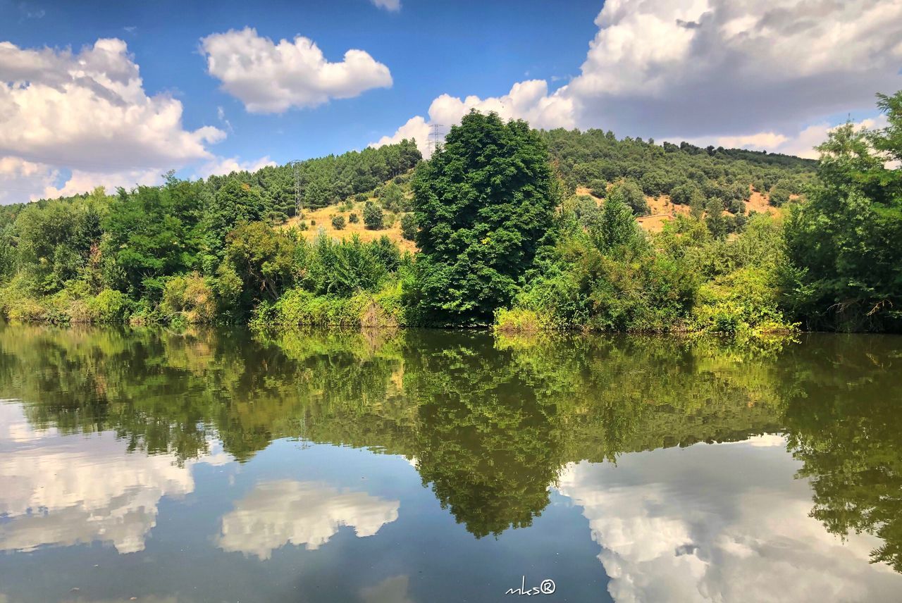 water, reflection, tree, cloud - sky, plant, sky, lake, nature, beauty in nature, waterfront, tranquility, green color, tranquil scene, growth, scenics - nature, no people, day, environment, outdoors