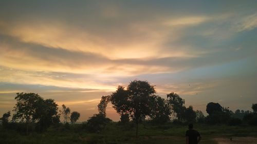 Silhouette trees on field against sky at sunset