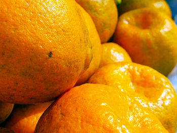 Full frame shot of oranges