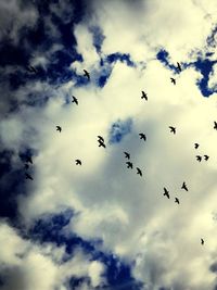 Low angle view of birds flying against cloudy sky