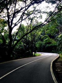 Empty road along trees