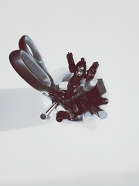 Close-up of over white background