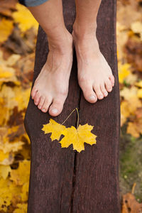 Low section of person legs on tree trunk during autumn