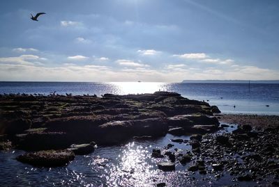 Scenic view of sea against sky