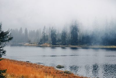Scenic view of lake in forest against foggy sky