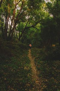 Man standing in a forest