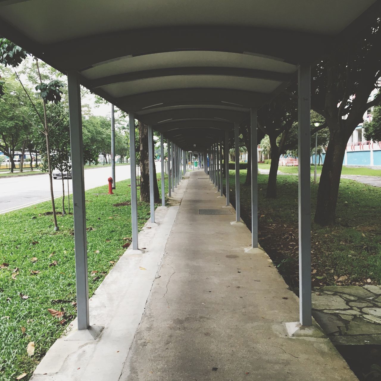 the way forward, diminishing perspective, vanishing point, tree, built structure, architecture, empty, in a row, walkway, footpath, long, architectural column, grass, tranquility, sunlight, nature, day, no people, railing, sky