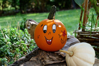 Close-up of halloween pumpkins