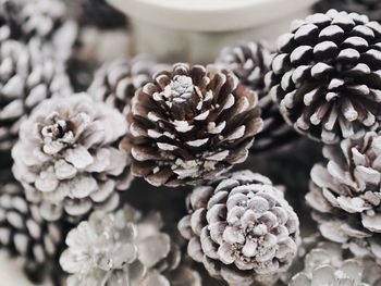 Close-up of pine cones during winter