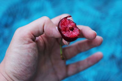 Close-up of hand holding cherry