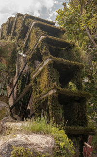 Plants growing on rock against sky