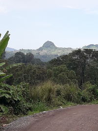 Scenic view of landscape against clear sky