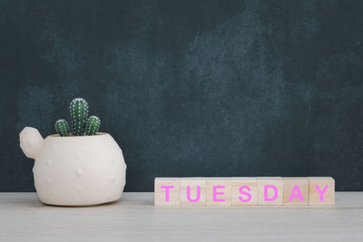 Close-up of potted plant on table against wall