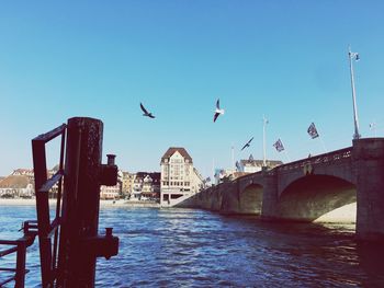 Seagulls on bridge over river against clear sky