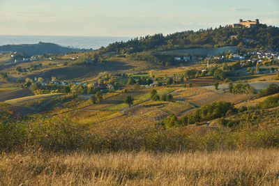 Scenic view of agricultural field against sky