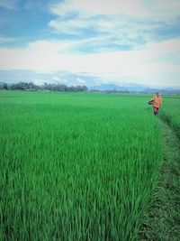 Scenic view of grassy field against cloudy sky