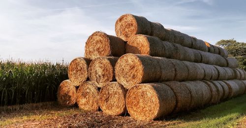 Stack of hay bales on field against sky