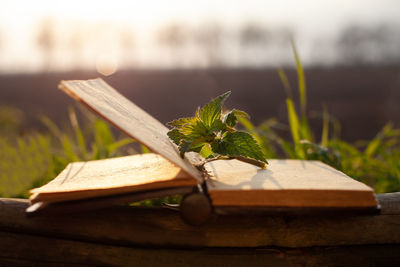 Close-up of open book on table