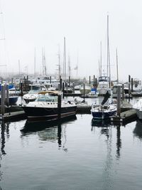 Sailboats moored at harbor