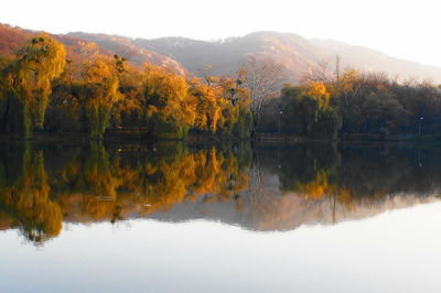 Reflection of trees on lake during autumn