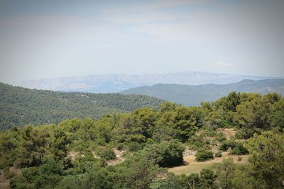 Scenic view of tree mountains against sky