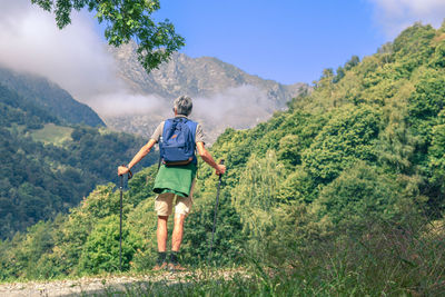 Middle age man walking in the mountain forest. male with backpack do hike in the nature. 