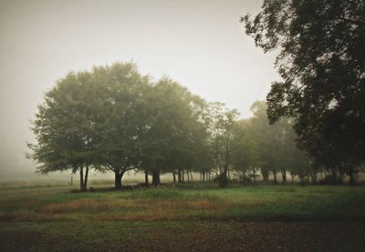 Scenic view of grassy field against sky