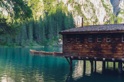 Scenic view of lake in forest