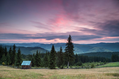 Scenic view of field against sky during sunset