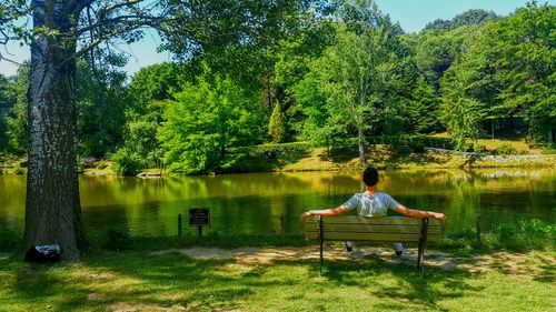 Rear view of man sitting on bench by lake at park