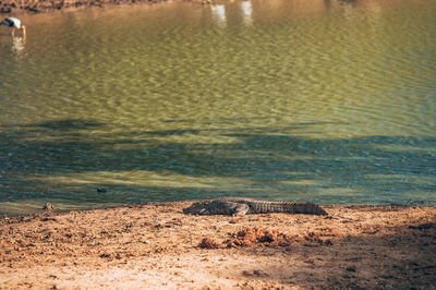 Scenic view of lake