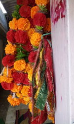 Close-up of flowers for sale