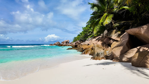 Scenic view of beach against sky