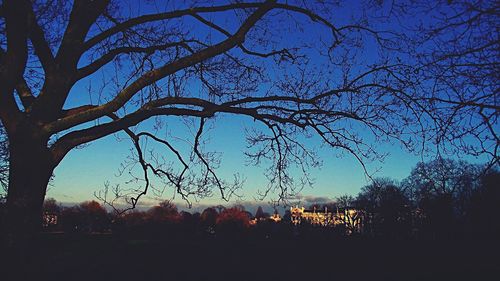 Low angle view of silhouette trees against sky at sunset