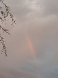 Low angle view of vapor trails in sky