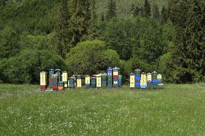 Bee hive in the pure nature in the mountains	